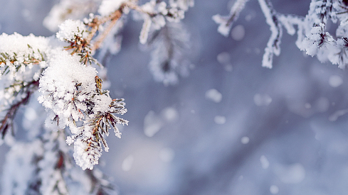 北京已有14个国家气象站观测到降雪,满足初雪标准 北京已有14个国家气象站观测到降雪,满足初雪标准
