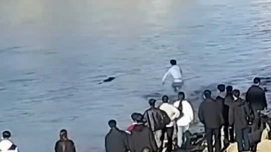 兰州大学学生跳入冰冷黄河勇救落水者