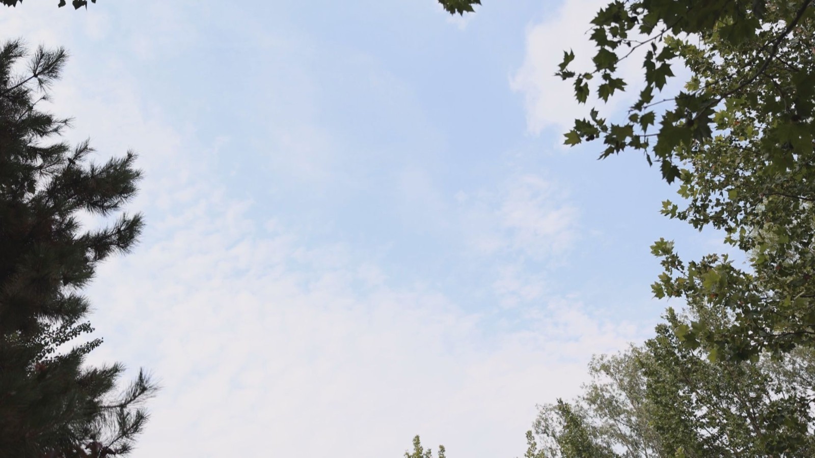 专家解读 桑拿天 阴雨天对空气质量有何影响 专家解读 桑拿天 阴雨天对空气质量有何影响