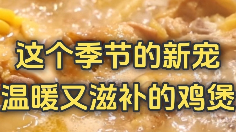 这个季节的新宠，温暖又滋补的鸡煲