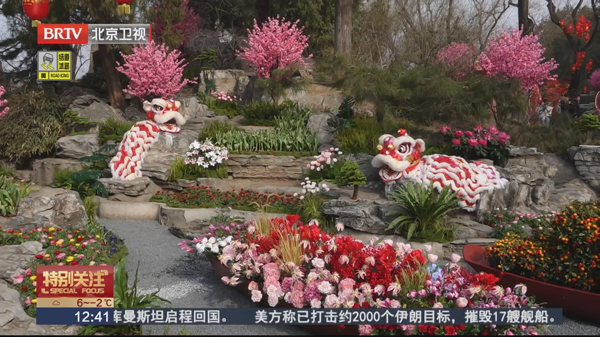 广府花街首次进京 北海公园连续8天开启广州花市 广府花街首次进京 北海公园连续8天开启广州花市