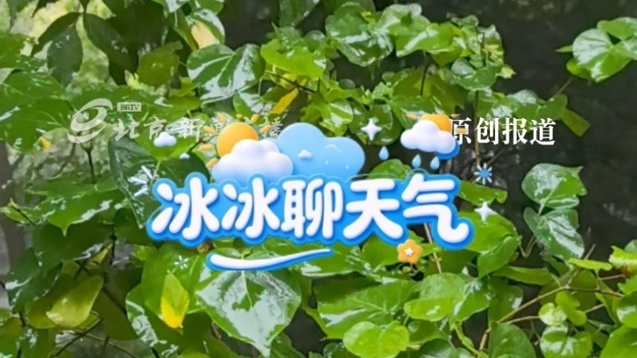 入秋以来最强秋雨有多大、何时停？明天刮风又降温！