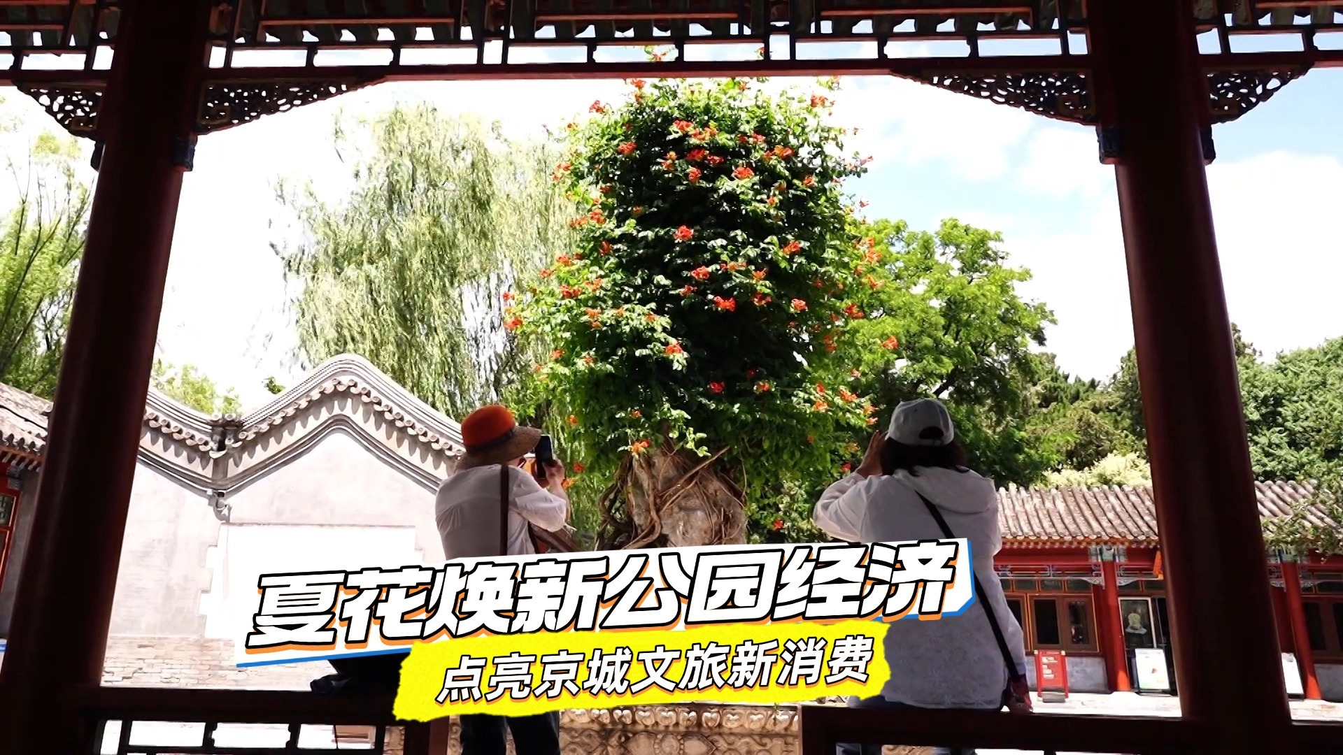 夏花焕新公园经济 点亮京城文旅新消费 夏花焕新公园经济 点亮京城文旅新消费