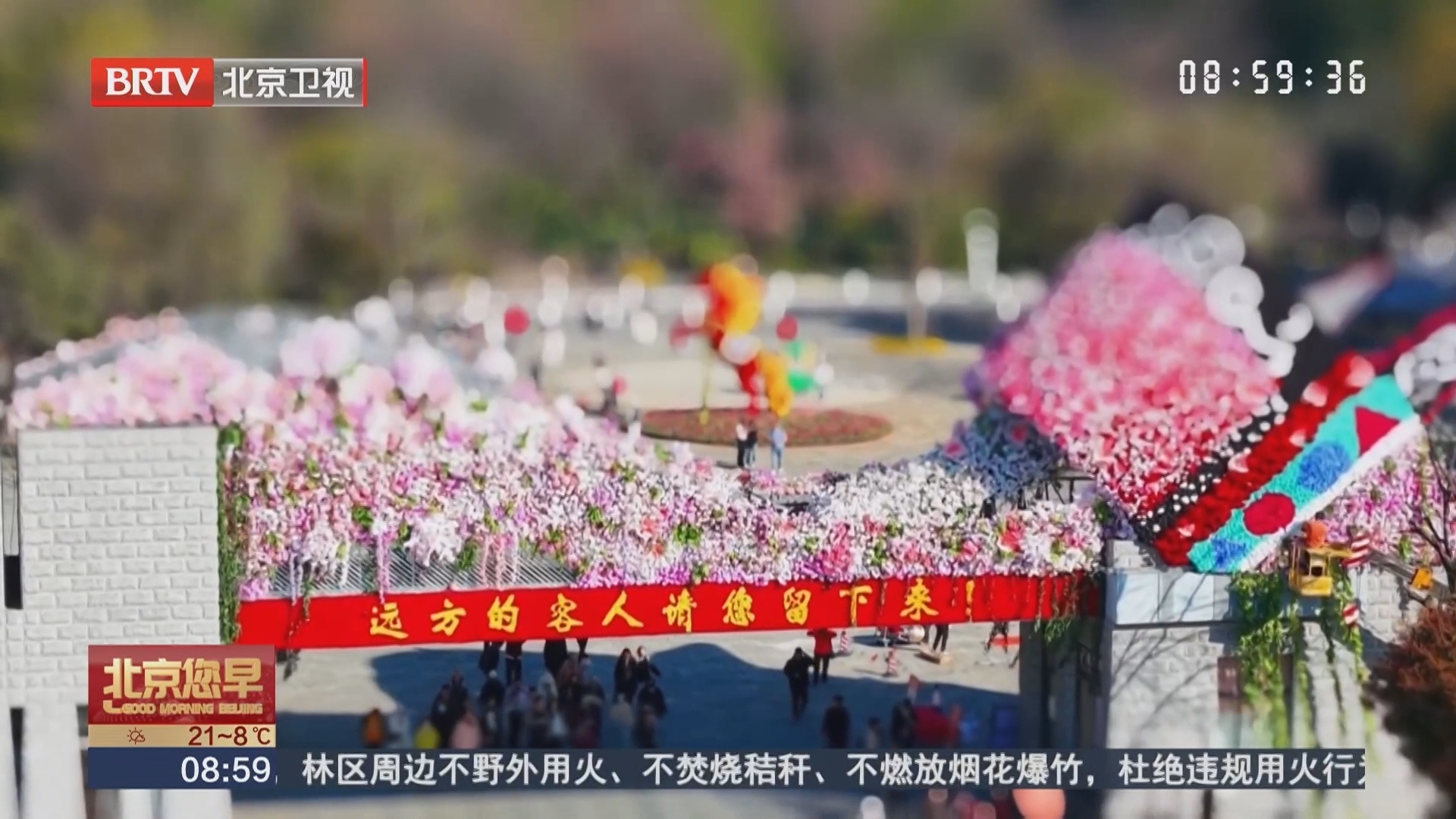 移轴镜头里的春日石林萌趣景致