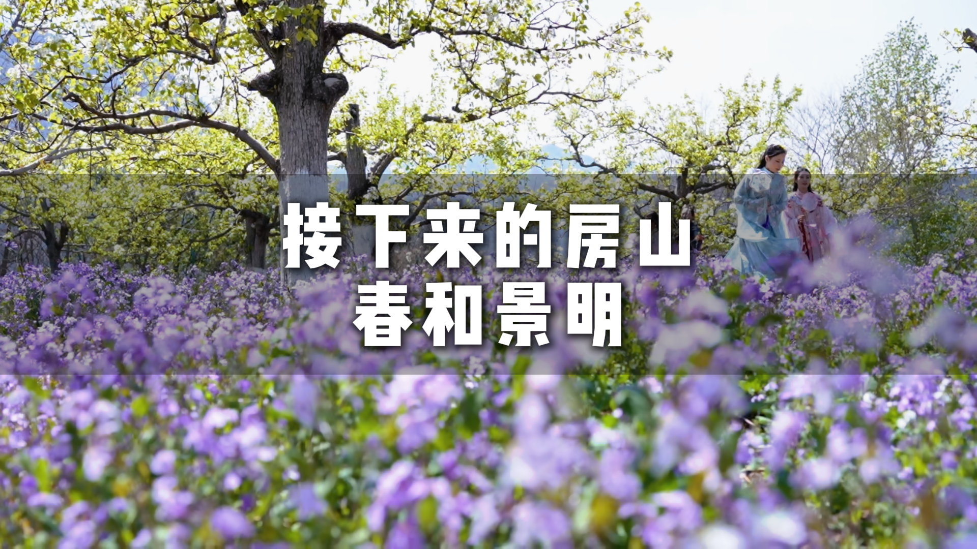 接下来的北京房山,是春和景明的无限浪漫 接下来的北京房山,是春和景明的无限浪漫