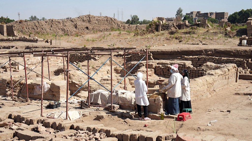 罕见发现！中埃联合考古队发布重要考古成果