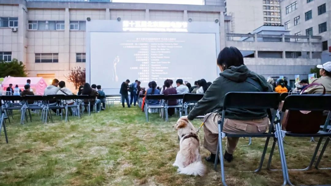 北京国际电影节露天放映促消费,快来庄里打卡啦 北京国际电影节露天放映促消费,快来庄里打卡啦