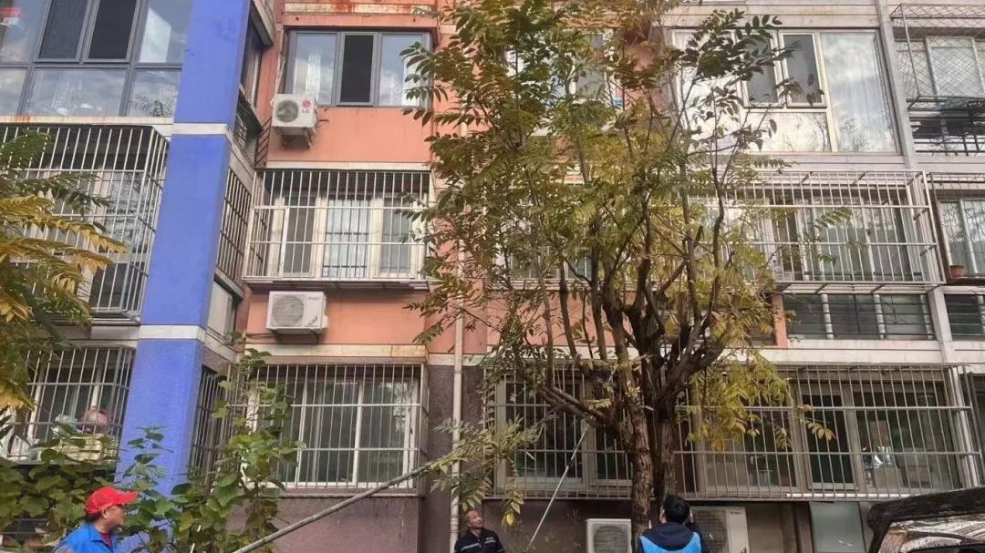 大兴区观音寺街道:抓牢民生“小切口” 为居民幸福“加码” 大兴区观音寺街道:抓牢民生“小切口” 为居民幸福“加码”