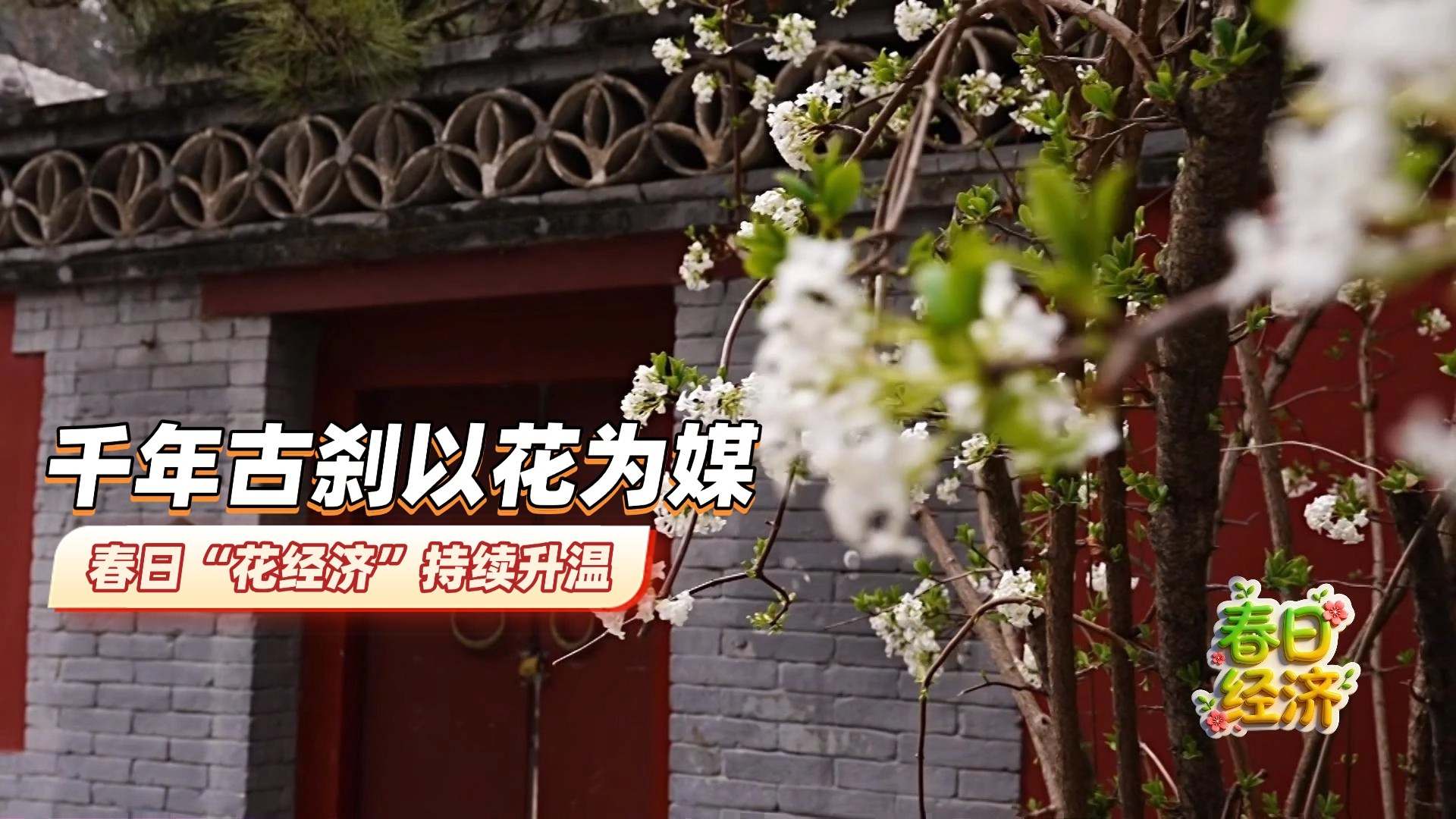 【春日经济】千年古刹以花为媒 春日“花经济”持续升温 【春日经济】千年古刹以花为媒 春日“花经济”持续升温