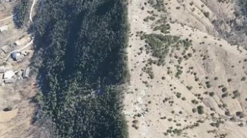 高二学生徒步途中，观测到显著的阴阳坡植被分异现象