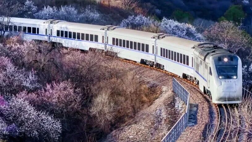 开往春天的列车,加车!最新列车时刻表来了 开往春天的列车,加车!最新列车时刻表来了