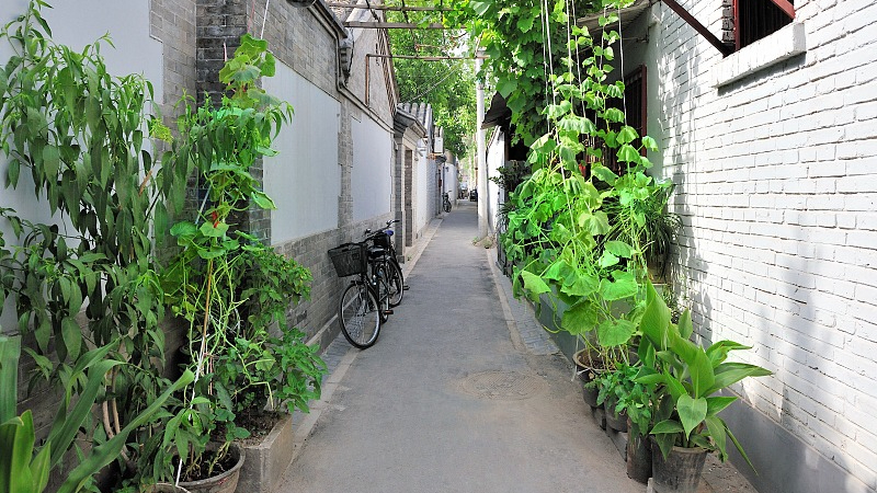 北京第二季度背街小巷环境精细化治理专项检查结果公布 北京第二季度背街小巷环境精细化治理专项检查结果公布