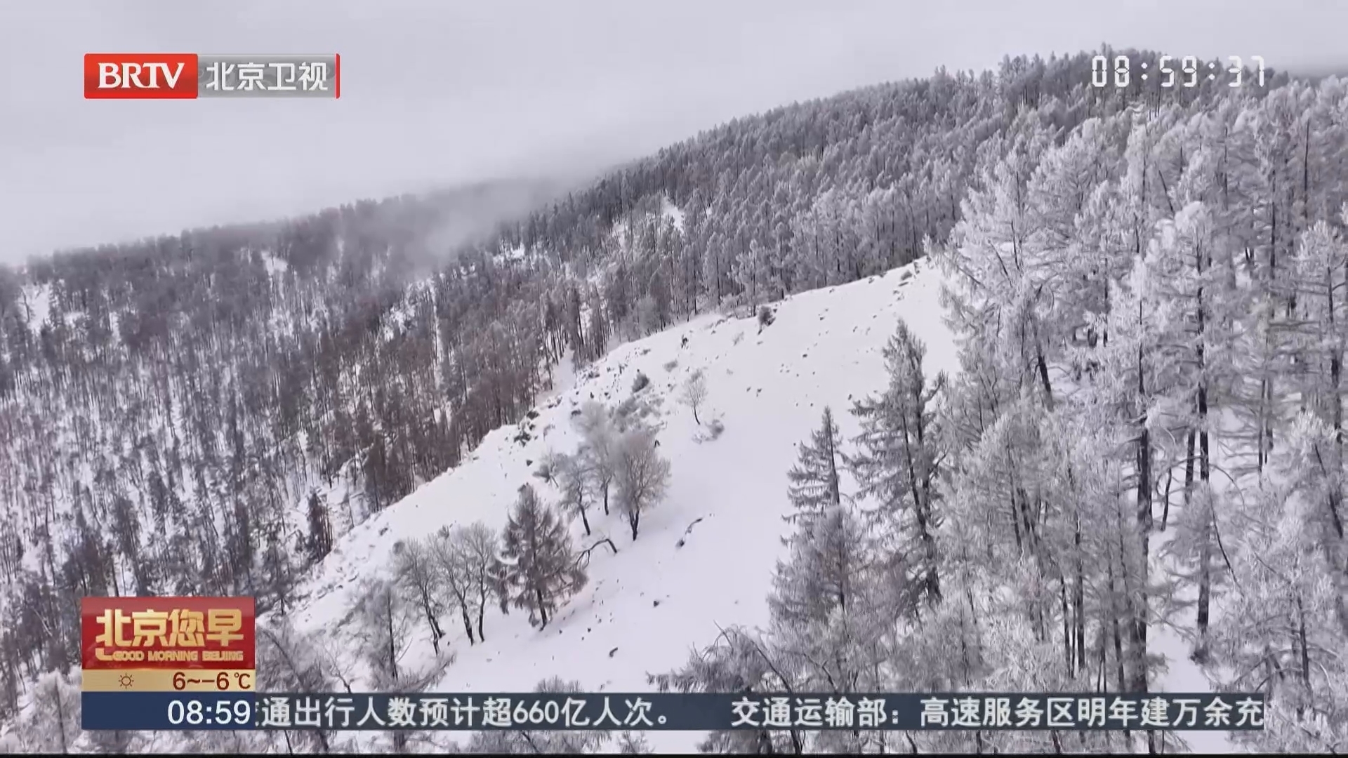 哈巴河：雾凇美景宛如水墨画