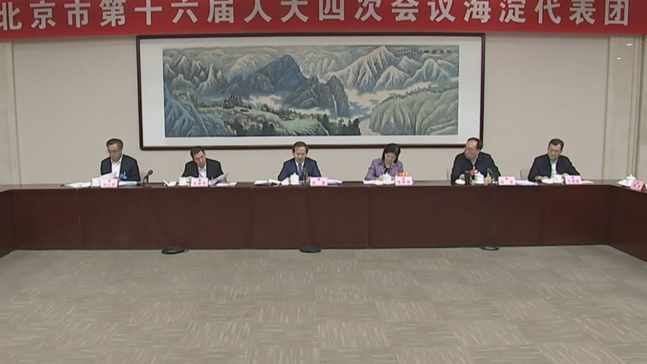 殷勇在参加海淀团审议时指出 当好北京率先基本实现社会主义现代化的排头兵