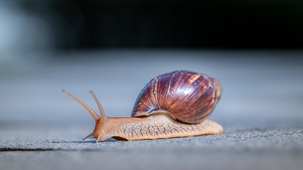 一堂情景课,走近“生物安全” 一堂情景课,走近“生物安全”