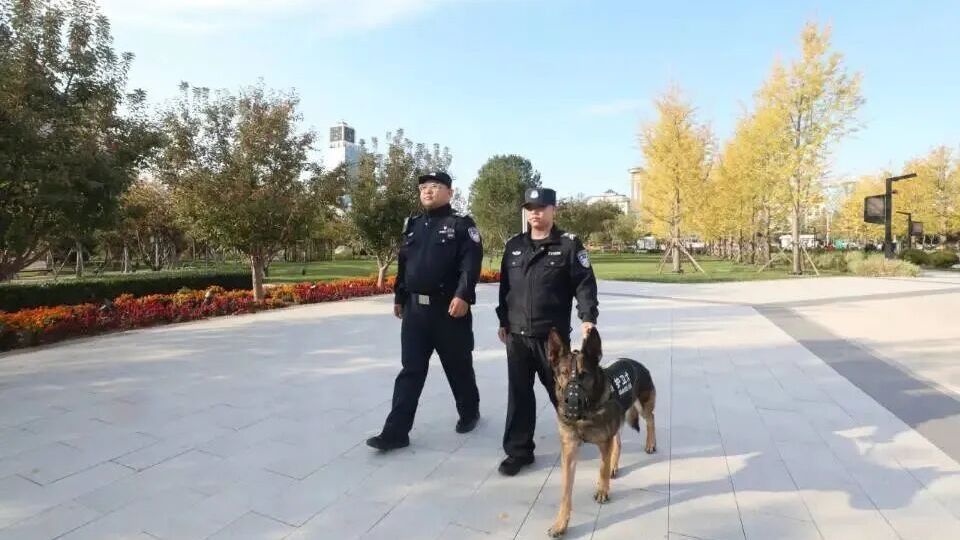 北京房山：派出所来了“新同事”，毛茸茸还超能干