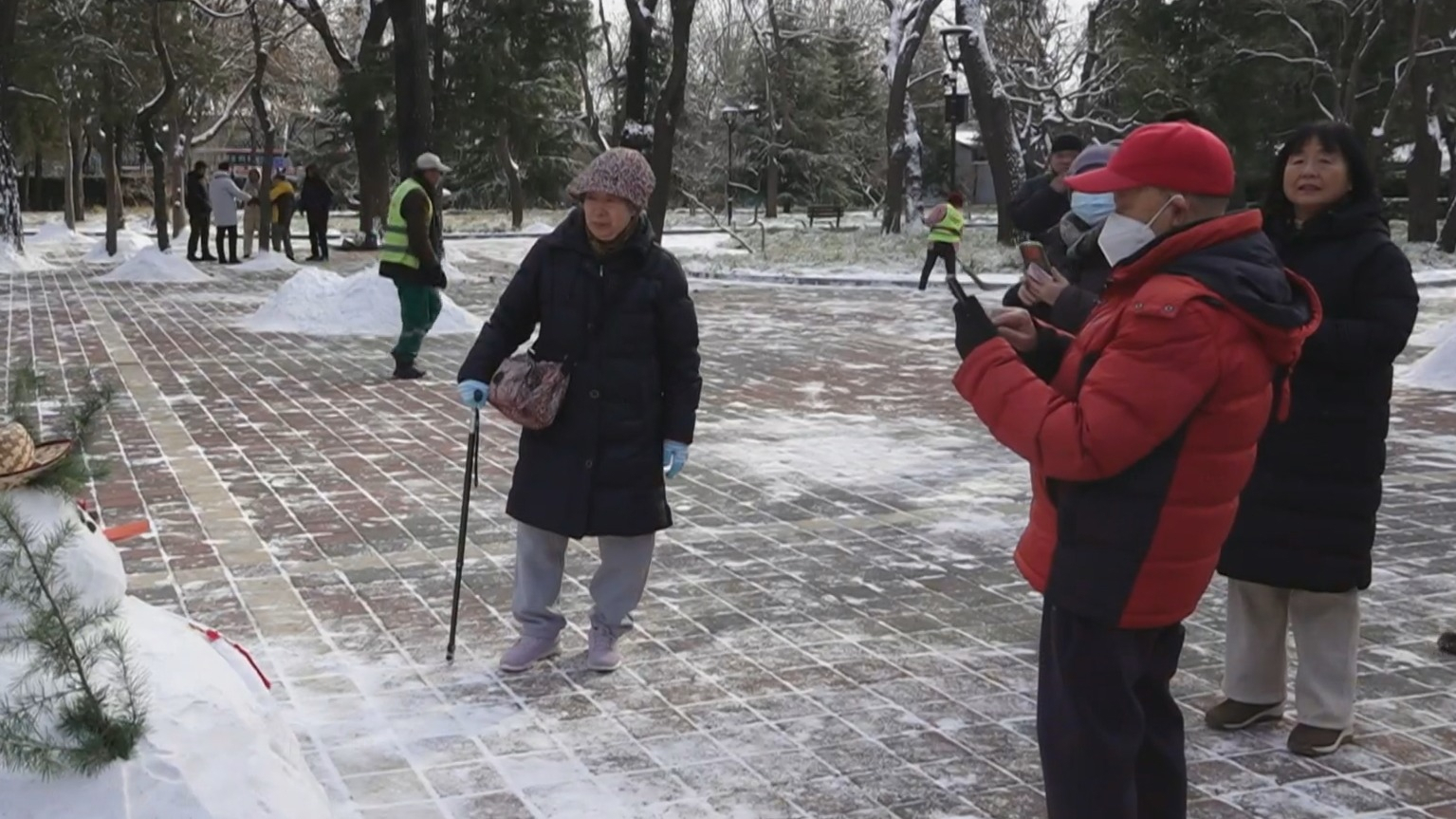 守护雪后绿 绿化带首次不设挡盐板 守护雪后绿 绿化带首次不设挡盐板