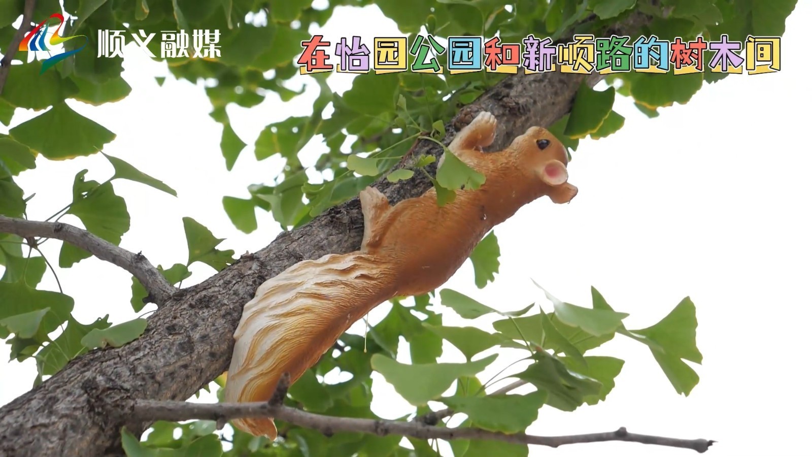近日，一些小动物悄然爬上枝头