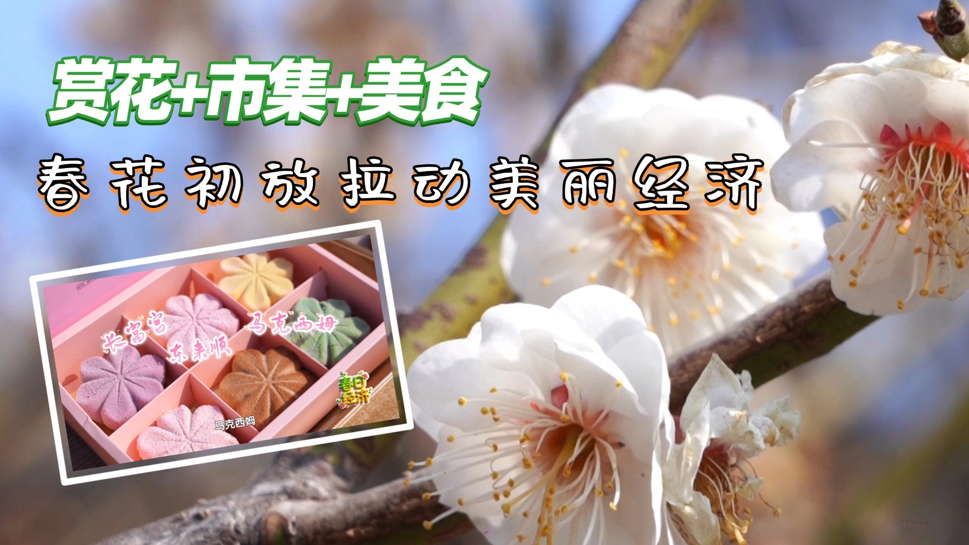【春日经济】赏花+市集+美食 春花初放拉动美丽经济 【春日经济】赏花+市集+美食 春花初放拉动美丽经济