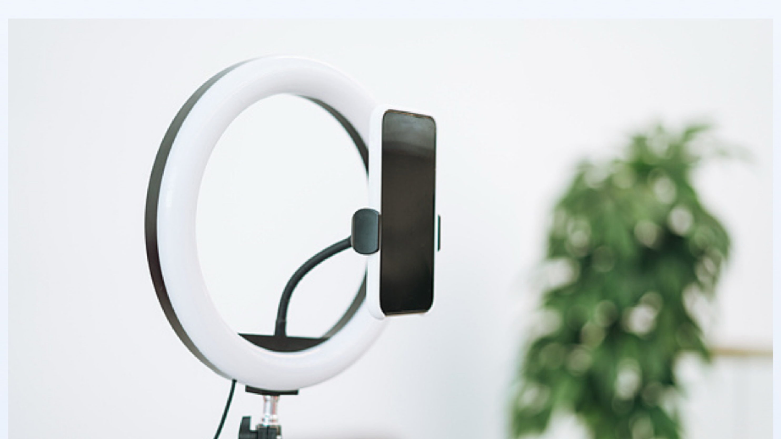 警惕不法“代理维权”短视频及直播陷阱 多部门发布风险提示 警惕不法“代理维权”短视频及直播陷阱 多部门发布风险提示