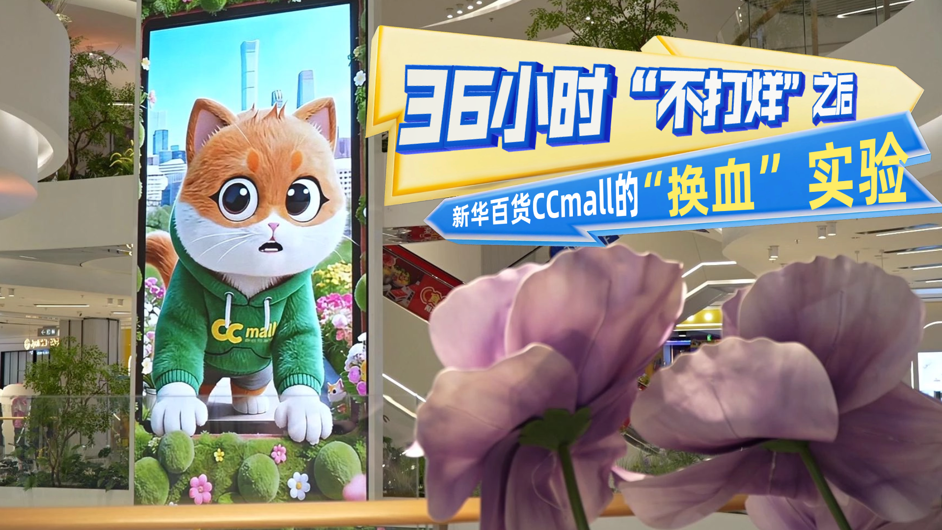 36小时“不打烊”之后：新华百货CCmall的“换血”实验