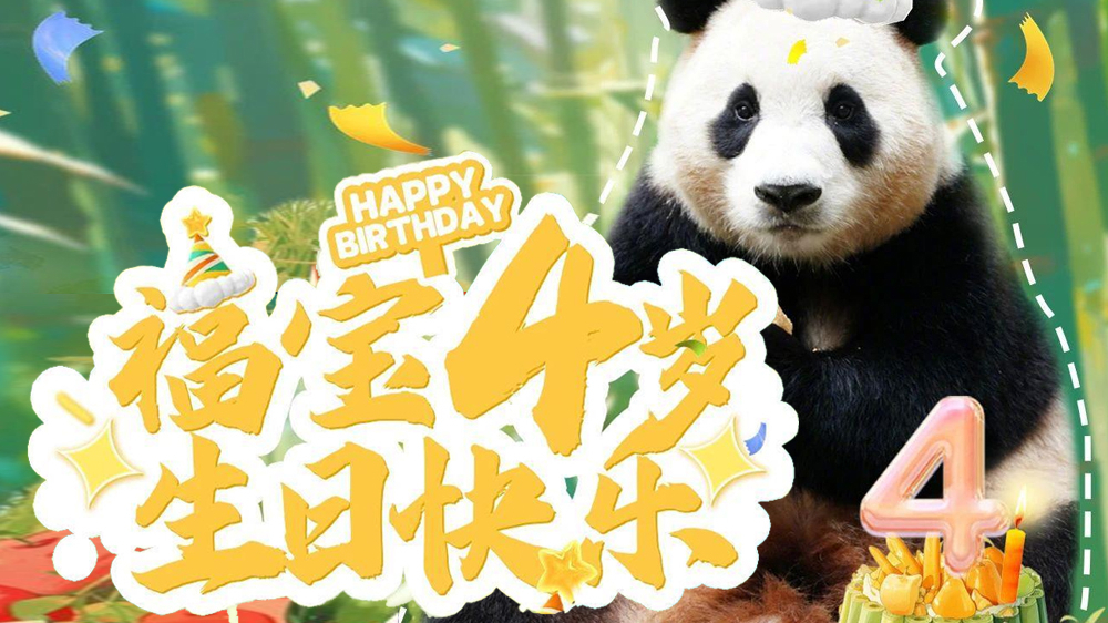 第一次在家过生日 “福宝”生日快乐！
