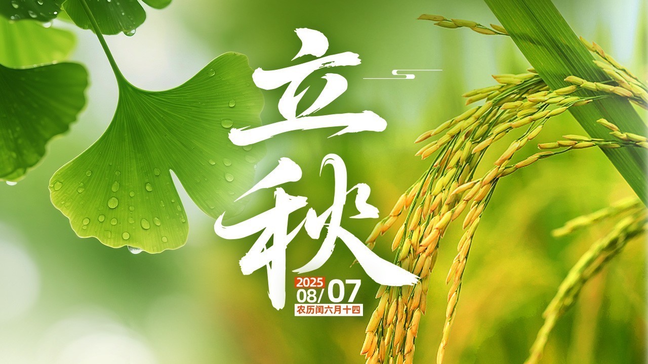 今日立秋 与岁月共赴金秋 今日立秋 与岁月共赴金秋