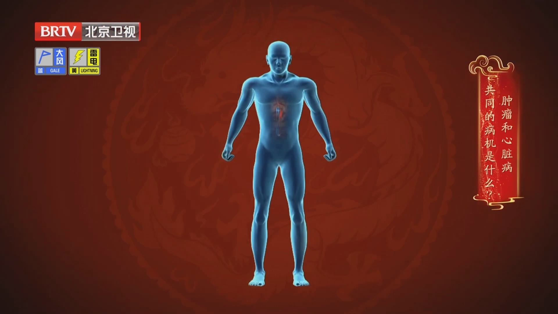 《养生堂》20250513通络解毒巧护心