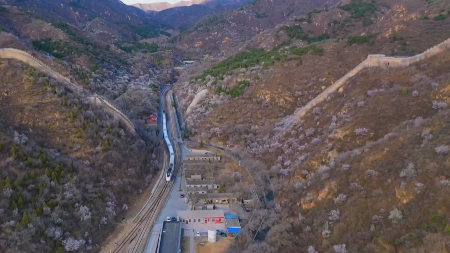 不负京华好春光丨春日花海引客来 居庸关花海栈道美景如画 不负京华好春光丨春日花海引客来 居庸关花海栈道美景如画