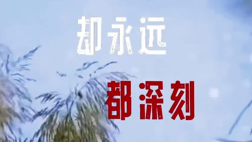 邓紫棋的歌声里,顺义花海、湿地、田园风情一一铺展 邓紫棋的歌声里,顺义花海、湿地、田园风情一一铺展