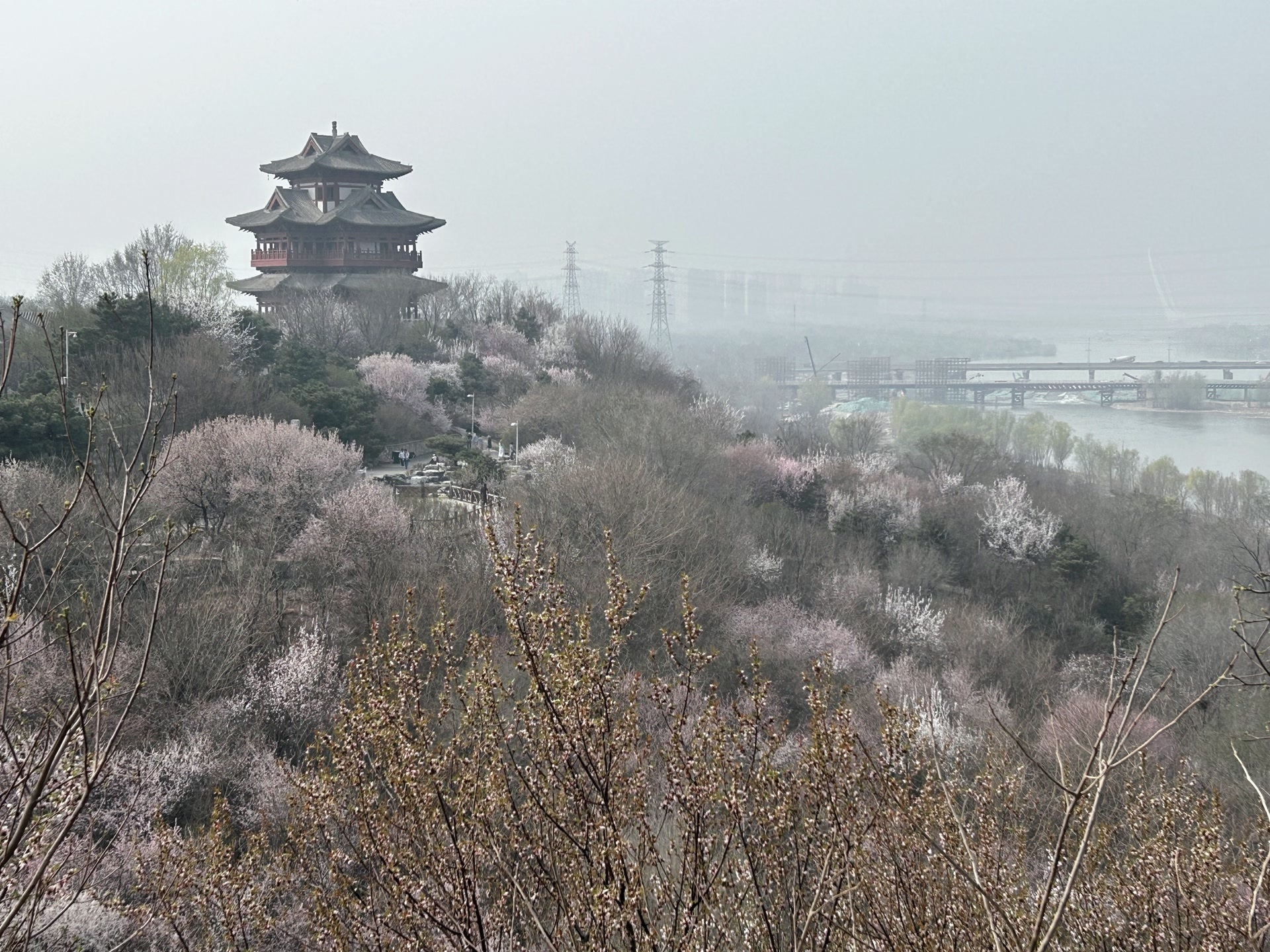 寻找古诗里的春天,踏青追春意,不负四月天 寻找古诗里的春天,踏青追春意,不负四月天