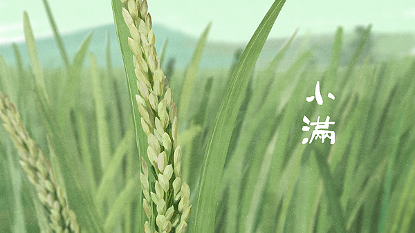 今天是小满节气！北京最高气温25℃，夜间阴转小到中雨