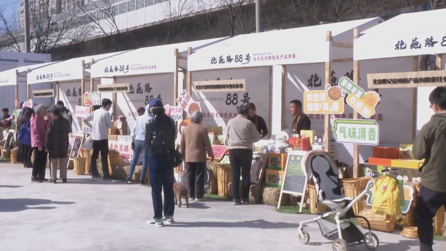 “北苑路88号”市集开市 每周六呈上新鲜优农产品 “北苑路88号”市集开市 每周六呈上新鲜优农产品