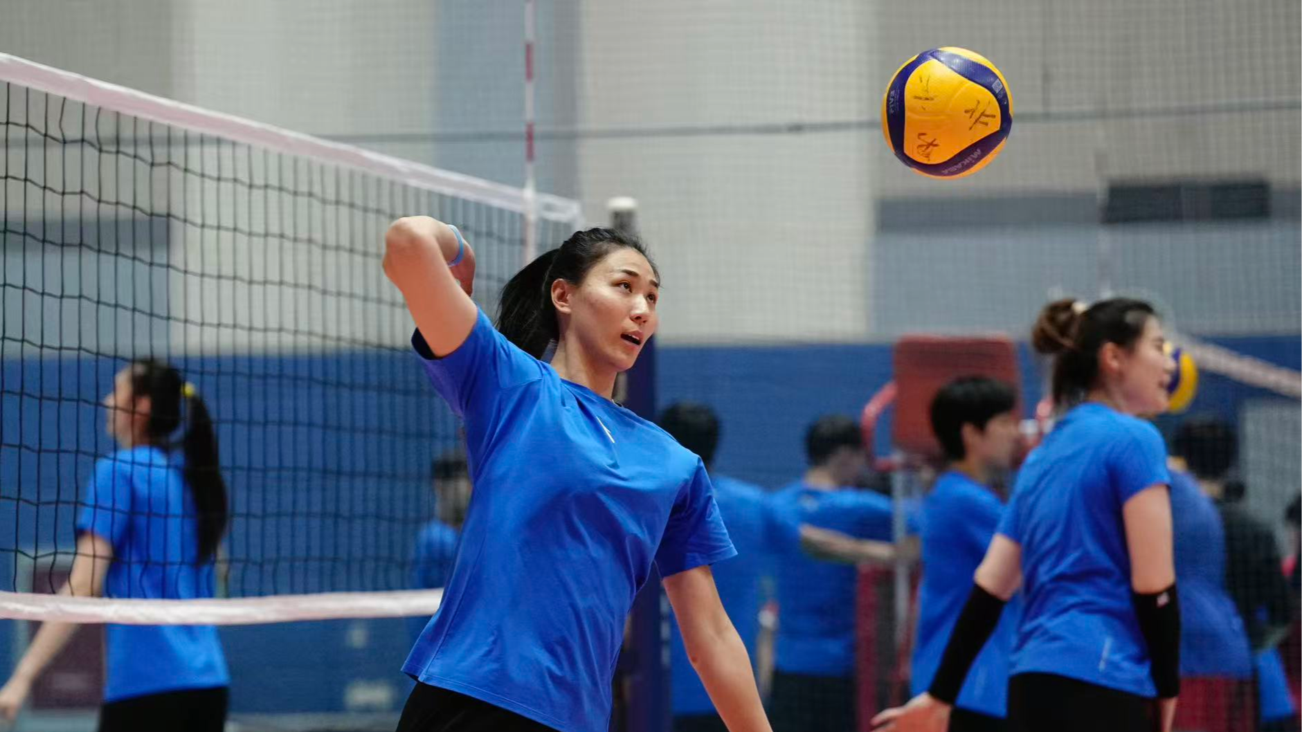 排超联赛季后赛今日打响 京津女排上演新春首战 排超联赛季后赛今日打响 京津女排上演新春首战