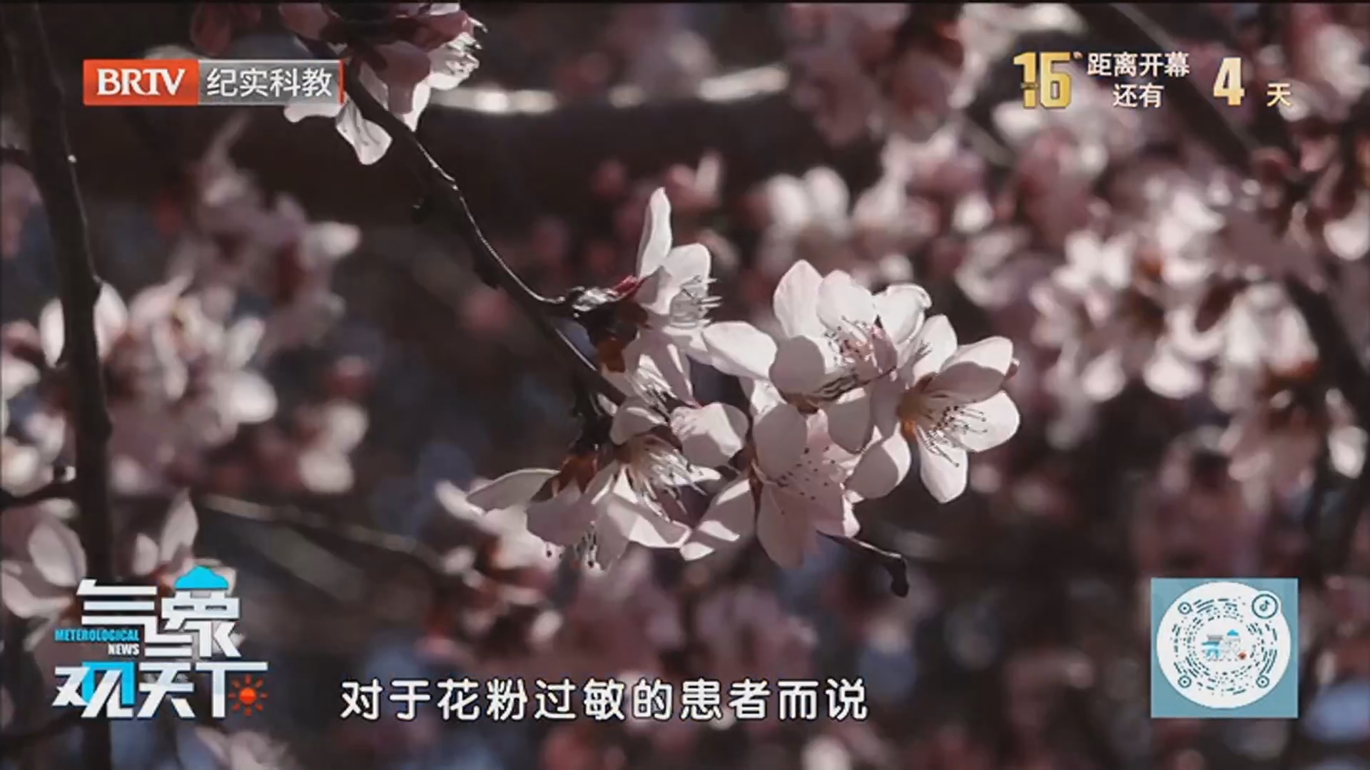 《气象观天下》20260412南方降水超标 北方气温稳步回升