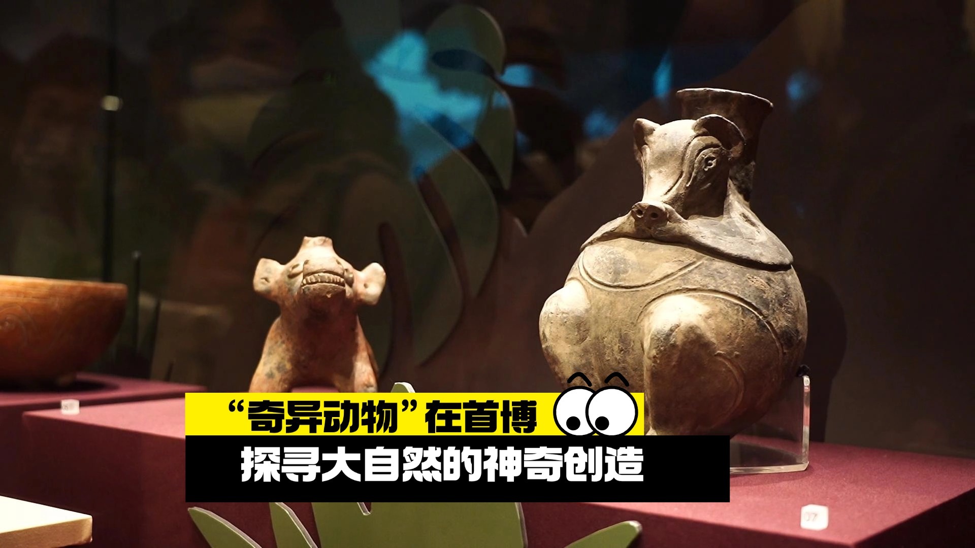 “奇异动物”在首博 探寻大自然的神奇创造