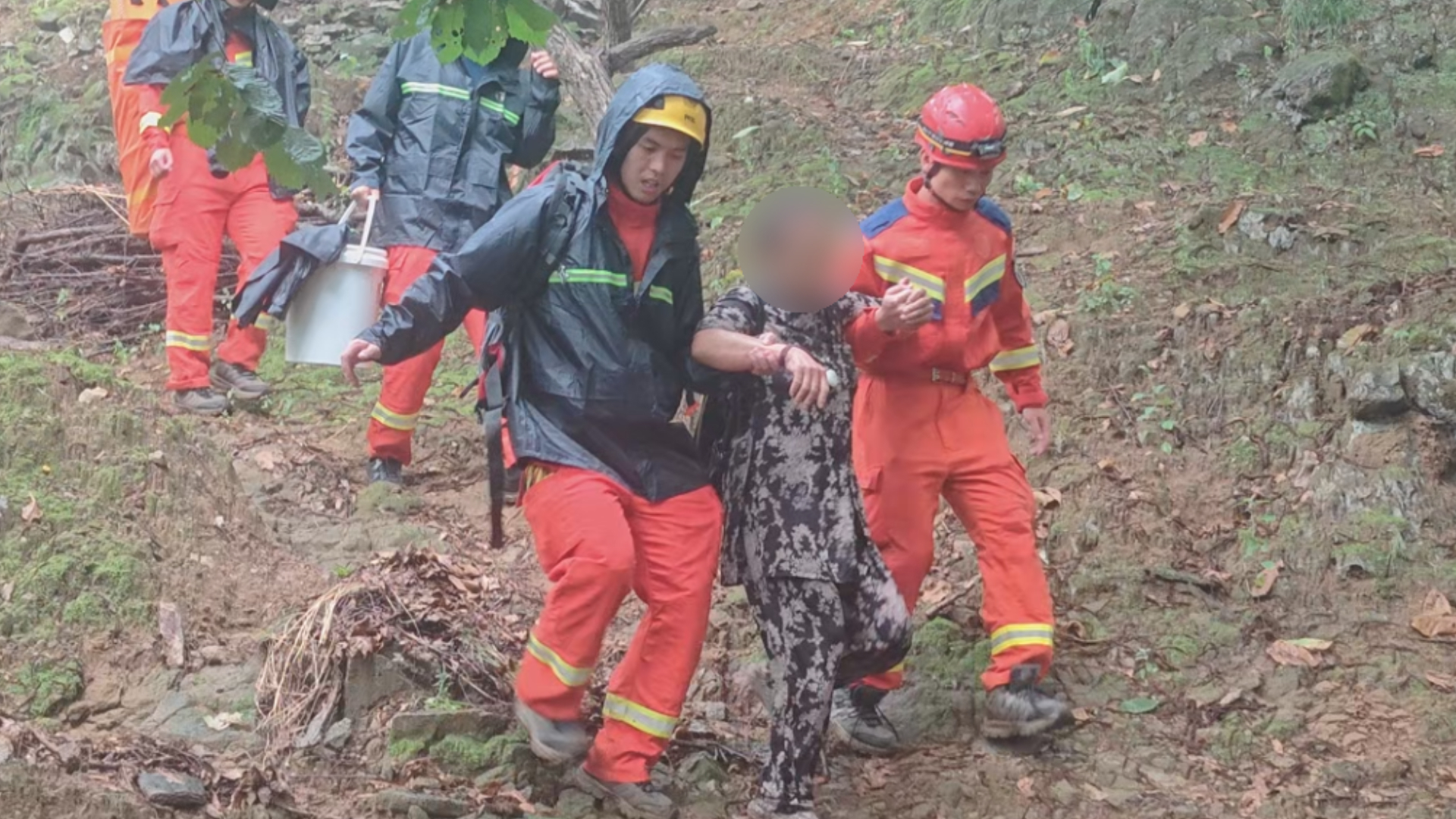 采菇之旅突发险情，进山采菌遭野蜂围攻！怀柔消防冒雨紧急救援