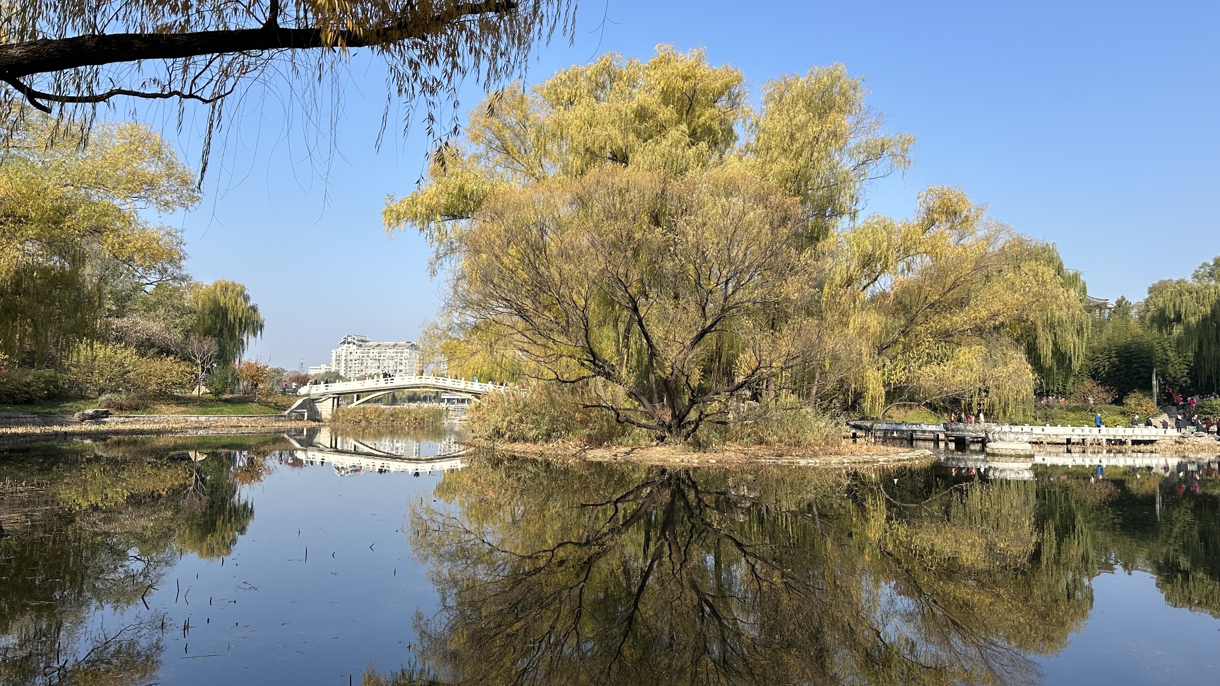 气温下降！今天白天多云间晴 最高气温5℃