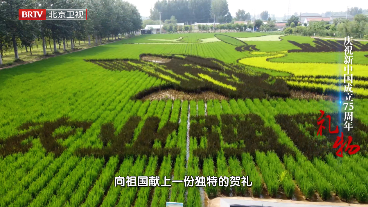 庆祝新中国成立75周年系列节目——礼物·科技畜牧 庆祝新中国成立75周年系列节目——礼物·科技畜牧