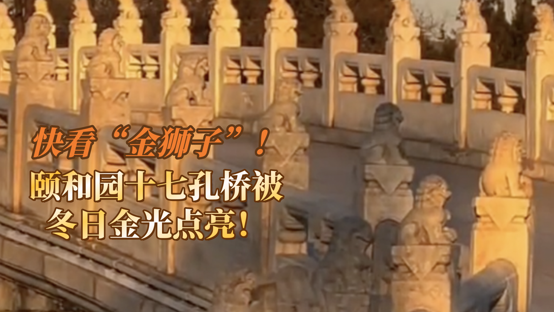 快看“金狮子”！颐和园十七孔桥被冬日金光点亮！