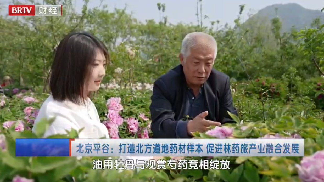 北京平谷：打造北方道地药材样本 促进林药旅产业融合发展