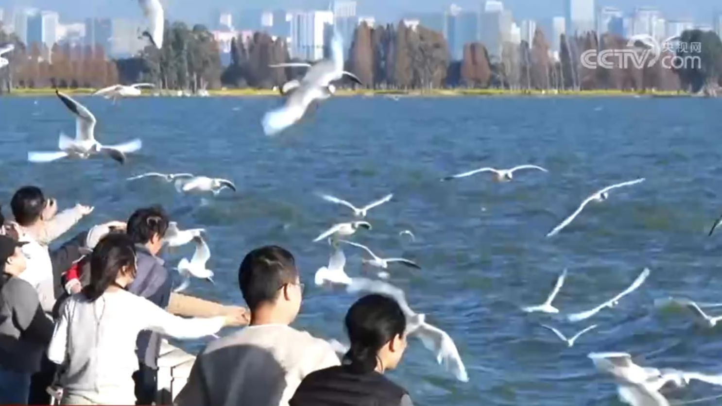 美丽中国 幸福生活