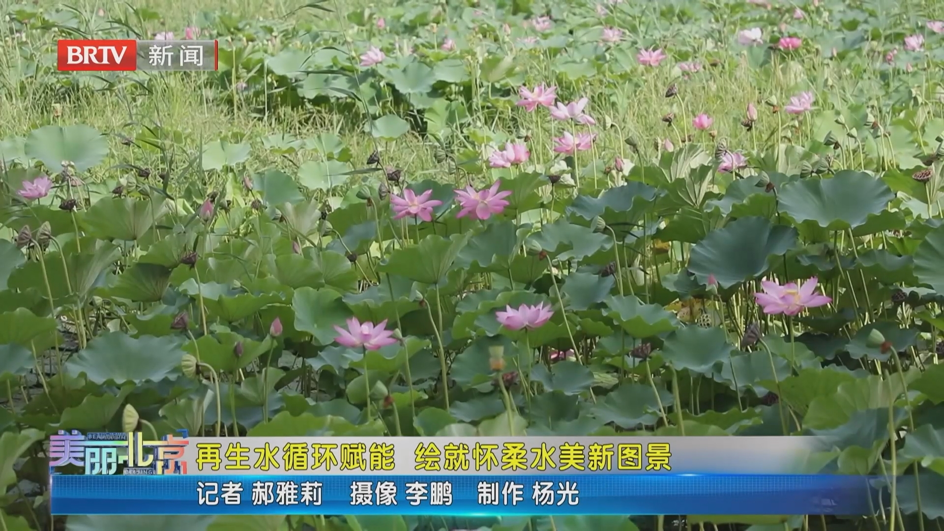 《美丽北京》20260909再生水循环赋能 绘就怀柔水美新图景