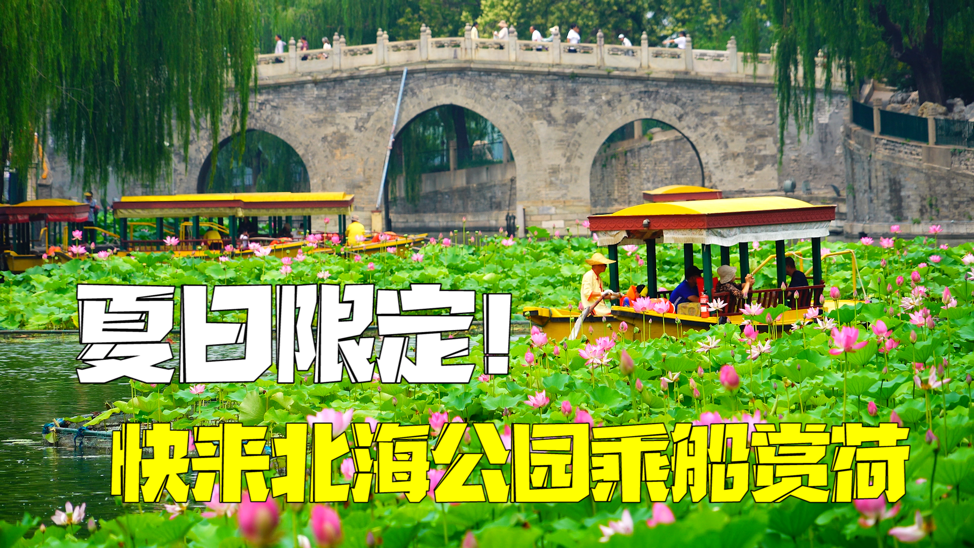 夏日限定！快来北海公园乘船赏荷