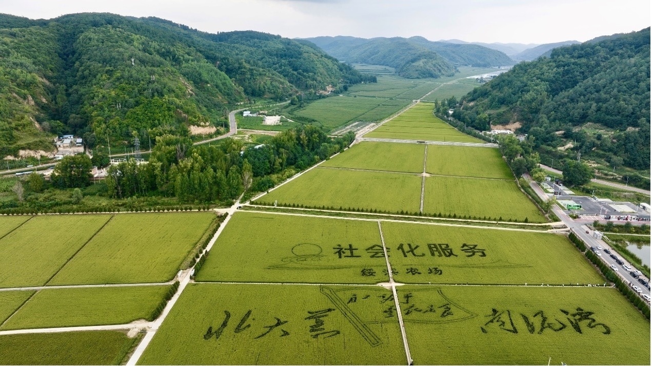 全国耕地3年增加1758万亩 全国耕地3年增加1758万亩