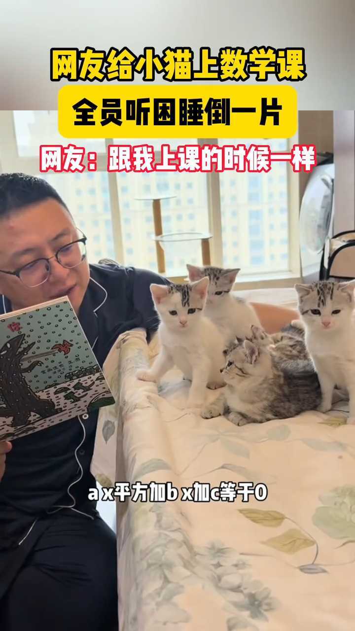 网友给小猫上数学课 睡倒一片 网友:跟我上课的时候一样 网友给小猫上数学课 睡倒一片 网友:跟我上课的时候一样