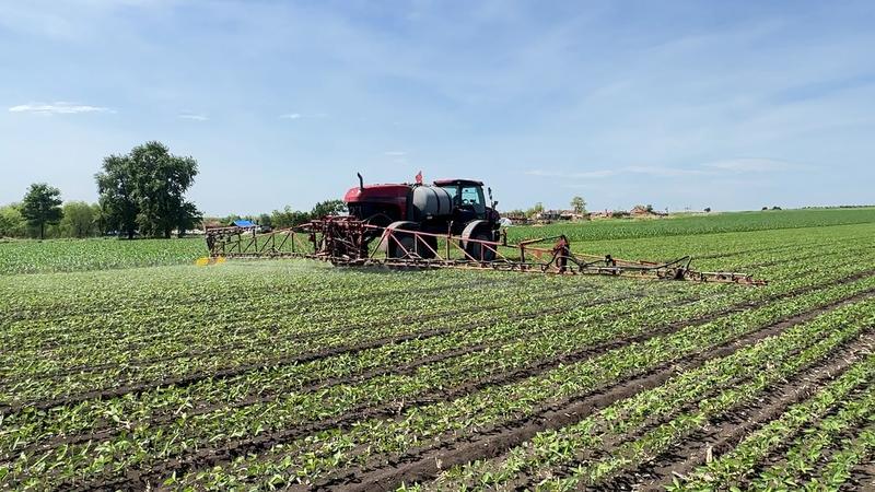 农业农村部:2025年我国三大粮食作物化肥利用率达43.3% 农业农村部:2025年我国三大粮食作物化肥利用率达43.3%