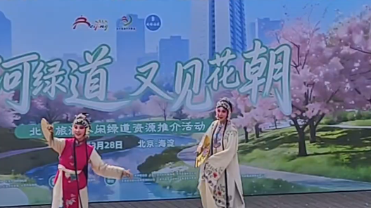 海淀清河绿道上演春日花朝盛会