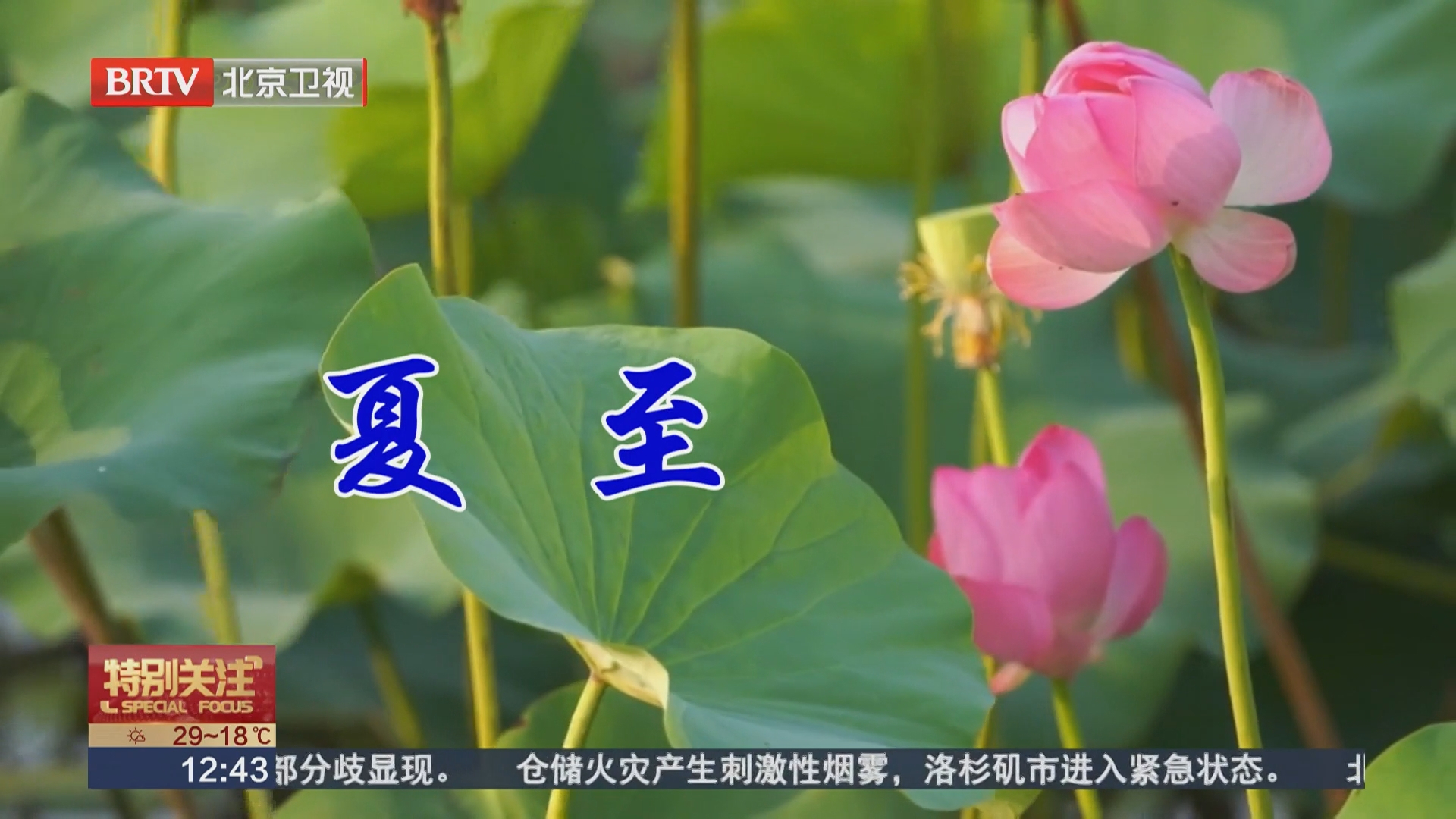 寻找夏至·味道