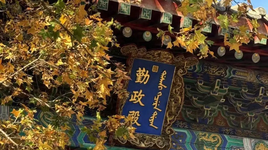 香山红叶季！哪里最好看？怎么出行？攻略来了——